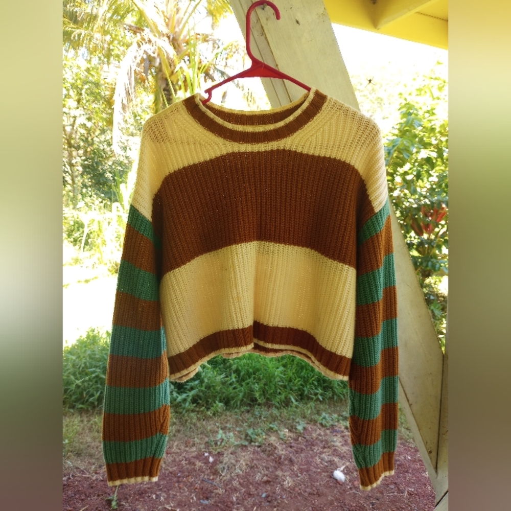 American Eagle Knit Crop Top Sweater